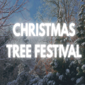 Christmas Tree Festival with mulled wine!